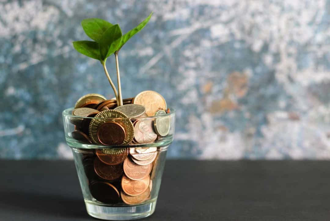 A plant in a glass jar full of coins